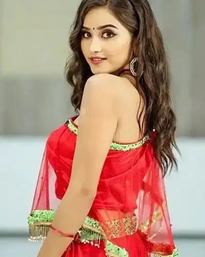 Call Girls Service Avinashi